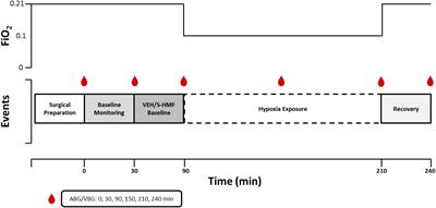 Cardiovascular Parameters in a Swine Model of Normobaric Hypoxia Treated With 5-Hydroxymethyl-2-Furfural (5-HMF)